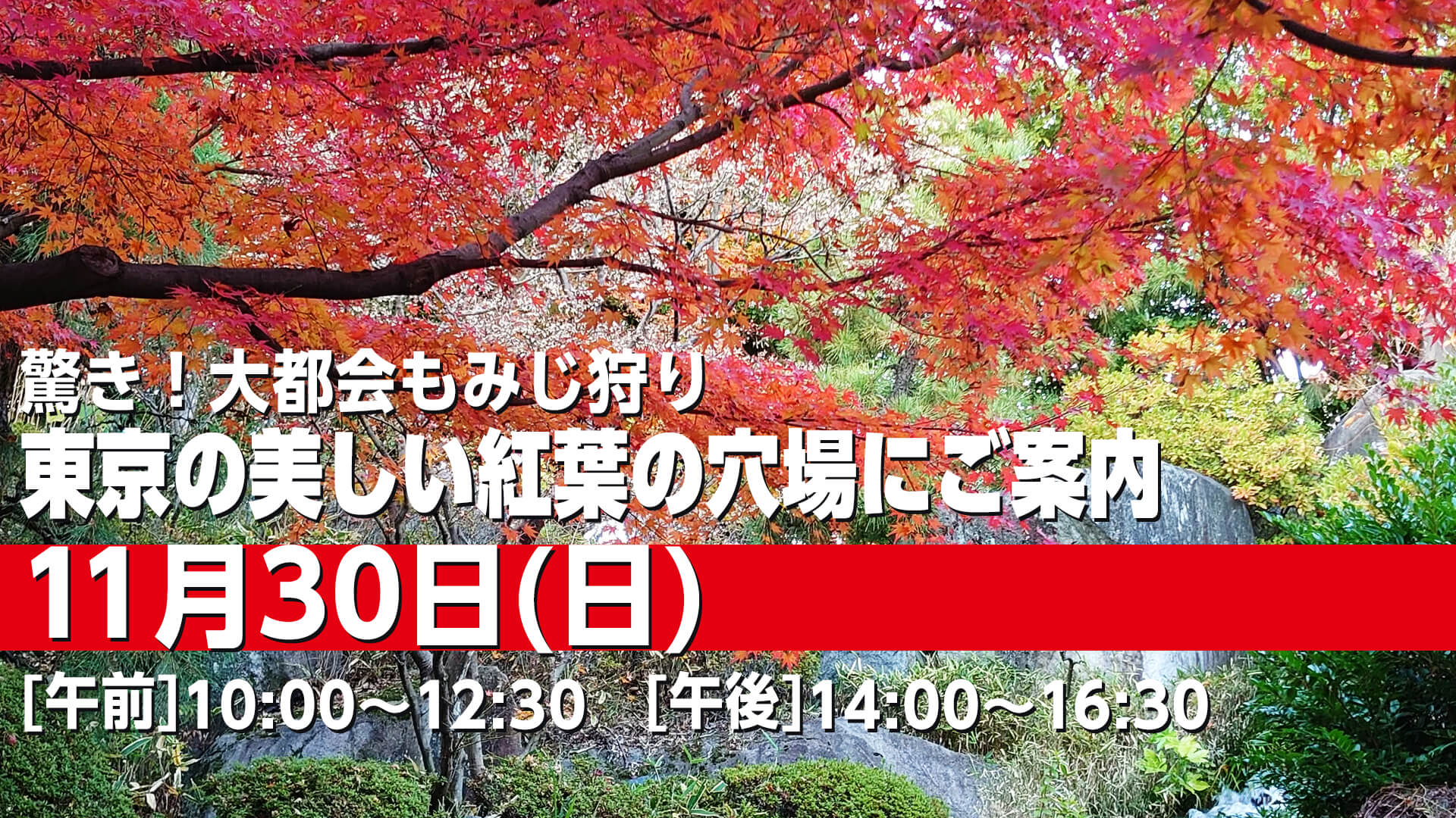 251130 東京の美しい紅葉の穴場にご案内